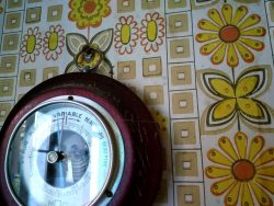 barometre-papier-peint-vintage-jaune-fleur